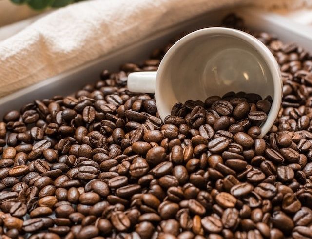 10 �������� ���������� ��������, ������� ������� �������� ����-������ ����