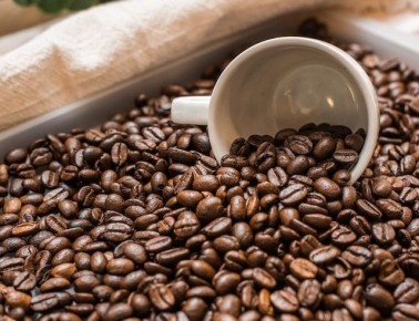 10 �������� ���������� ��������, ������� ������� �������� ����-������ ����