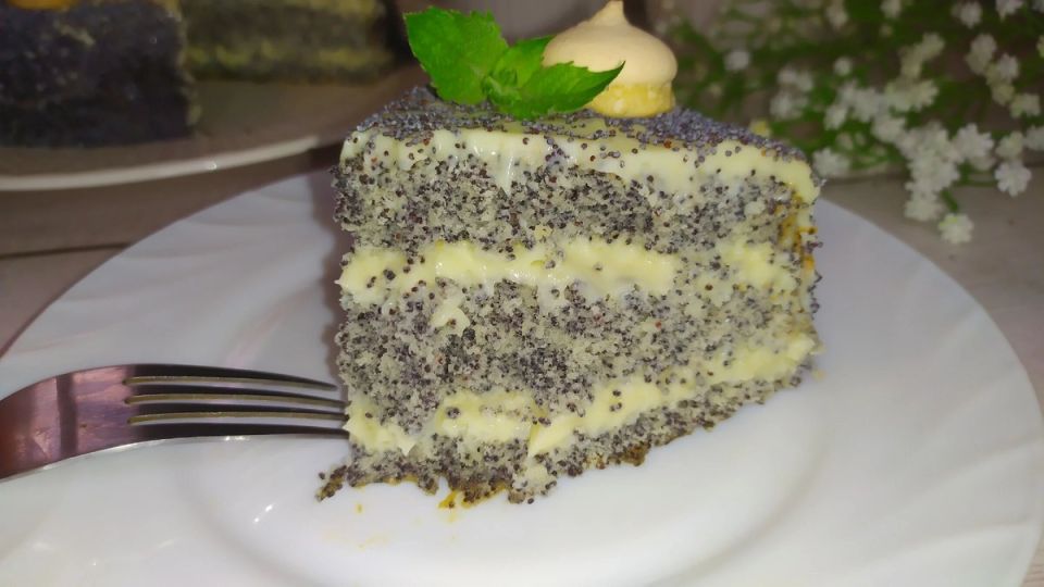 ������ ������� ���� � �������� ������: ����� � ������