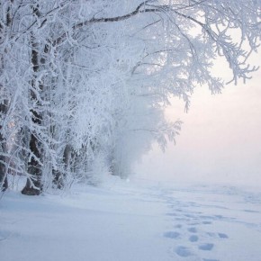 ��������� ������� ��������� ��������� 17 ������� � ���������� �����������, �� ��� �������