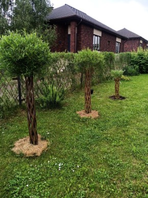 �������� ������� �� ���: ������� ��������� ��������