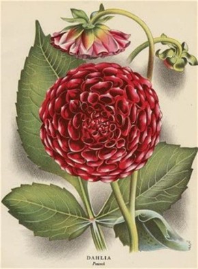 ��������: �����, ������� ������ ������������ � �����