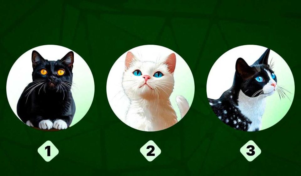 �������� ���� � �������, ��������� �� �������� �������