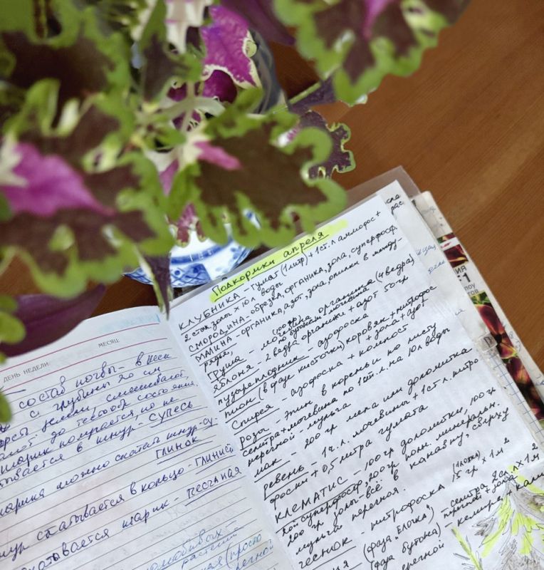 ��� ���������� ����� ��������� �������� ����: ������������ ��������� �� �������