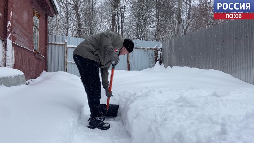 Активисты Молодежки Народного фронта Псковской области помогают маме участника специальной военной операции