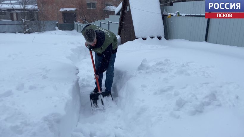 Активисты Молодежки Народного фронта Псковской области помогают маме участника специальной военной операции Активисты Молодежки Народного фронта Псковской области помогают маме участника специальной военной операции