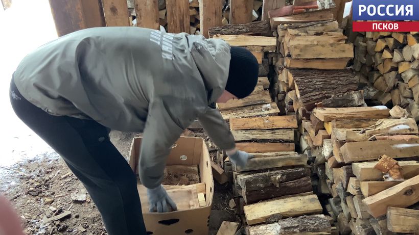 Активисты Молодежки Народного фронта Псковской области помогают маме участника специальной военной операции Активисты Молодежки Народного фронта Псковской области помогают маме участника специальной военной операции