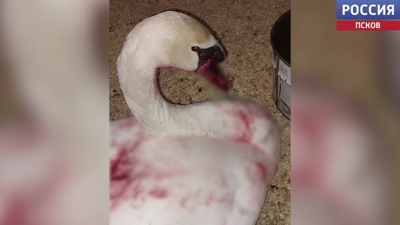 � ������� ������� ������� �������� ������