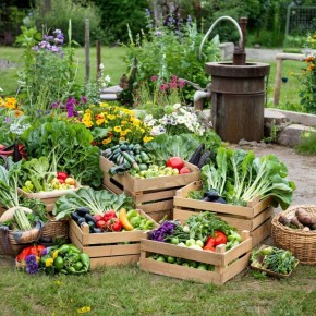 ��� �������� ������: ��� ��������� ��� ������������ �������������