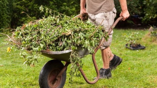 Бюджетный секатор сразил конкурента: как простота победила цену