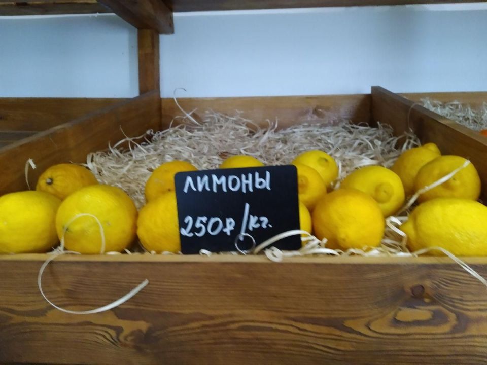 ������ � ������: ���� � �������� � � �������� �����