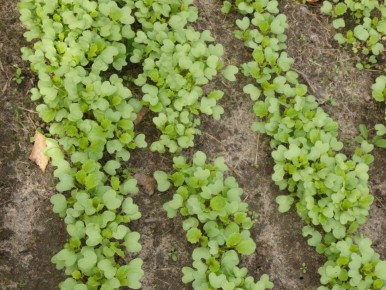 ������ � ���������� ������� ��� �������� ��� ������ �������