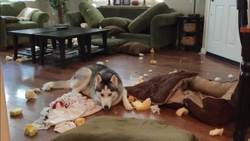 ������ �� �������� ������ ����� ����� ������ ������ �������� ��������