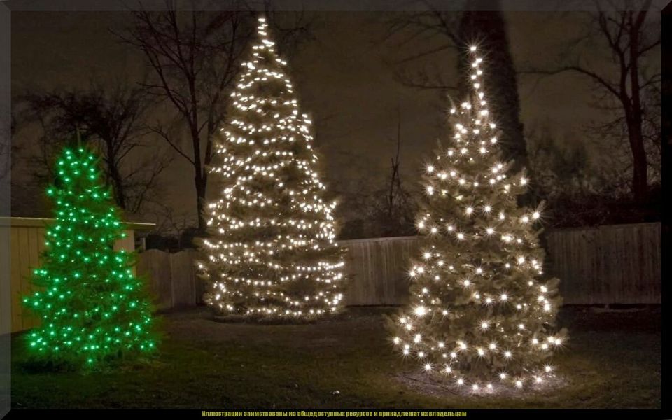 ��� ������� � ��������� ���������� ��� �� ����� �������