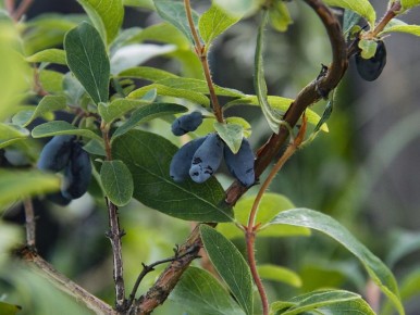 ��� ��������� ���������� ��������� ��� ���������� ������