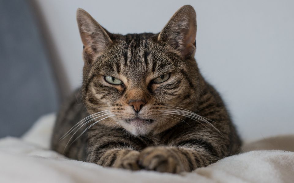 ��� ������ � ���������� ����� ������� ��� ��������� �������