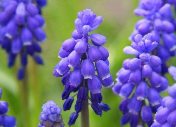 ��� ��������� ���������� � ��������, ����� �� ����� ������