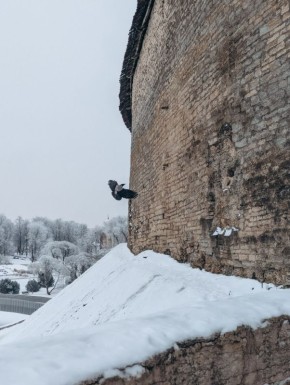 24 ������� � ��������� ������� ��������� �������� � ������������ ������