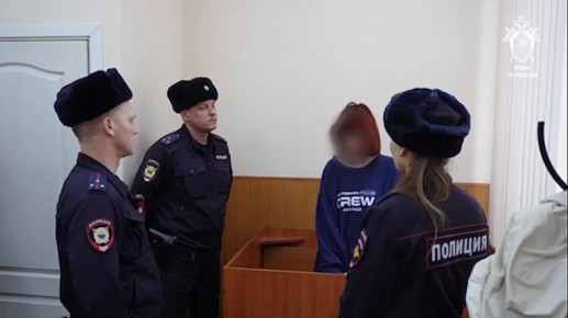 Девушку, которая учила пермского школьника убивать людей, арестовали
