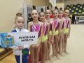 Воспитанницы спортивной школы «Гармония» достойно представили Псковскую область на Первенстве СевероЗападного федерального округа России по художественной гимнастике