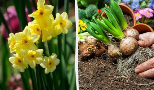 �������� �������: ��� ��������� �� ������� � ����������