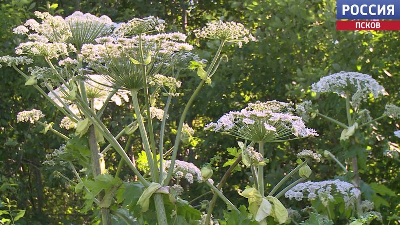 ��� ����� ����� � ������ � ���������� ����� �������� � ��������� �������, ���������� � ������������ ������������ ��������� ���������