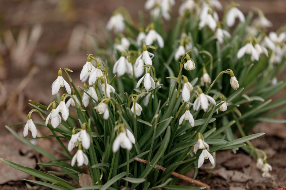 ���������� ������ � ��������� ������� ����� �������� ��� 27 �������