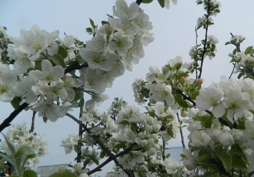 ��� �������� ������ �� ����� � ������� ������� ������