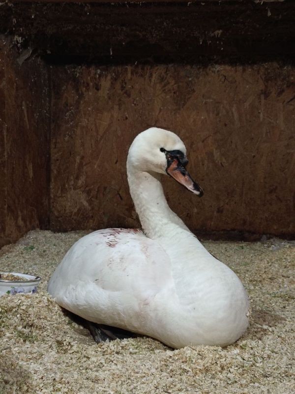 ������� ������� �� "�������� �������"