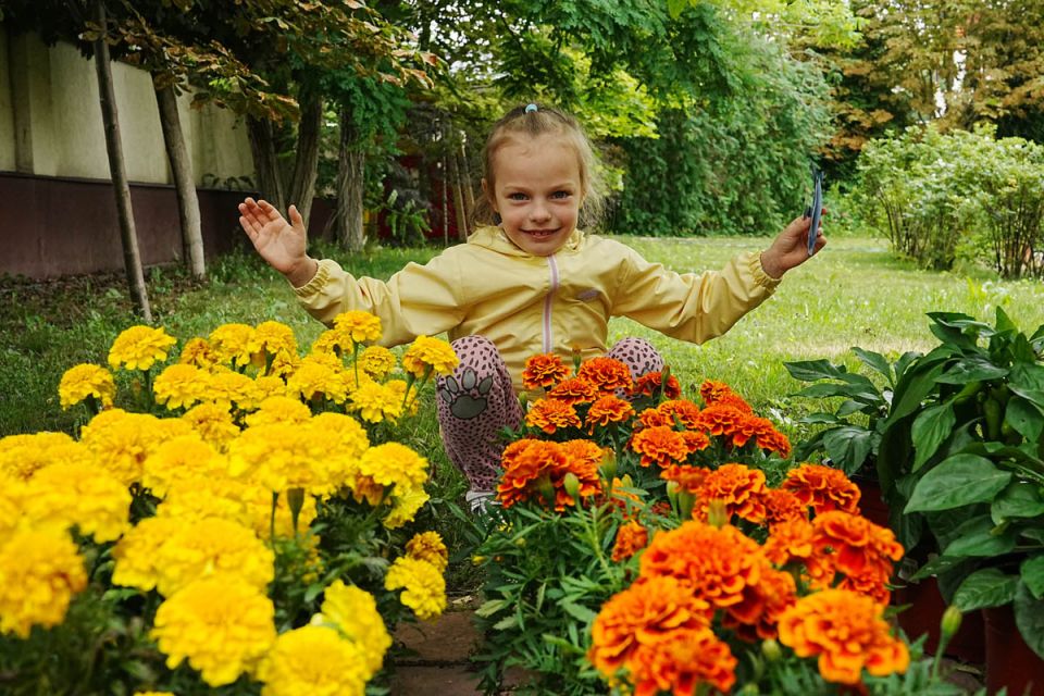 ������ �������� ���������� ������������ �� ����