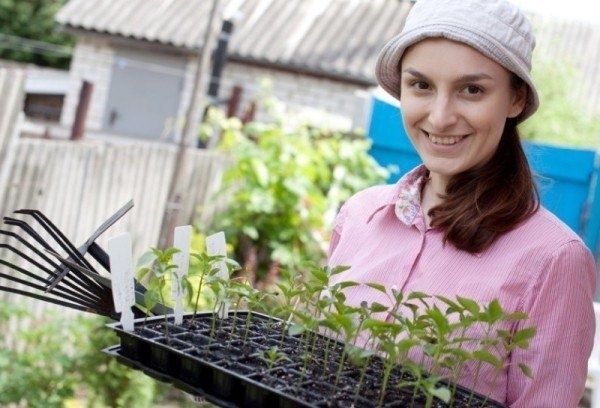 ����������� �����: ������� �������� ��������� �����