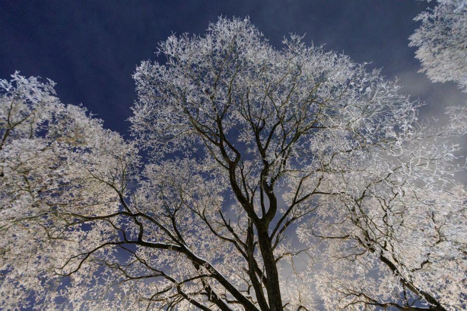 �� -5 �������� ������������ � ��������� ������� 26 �������