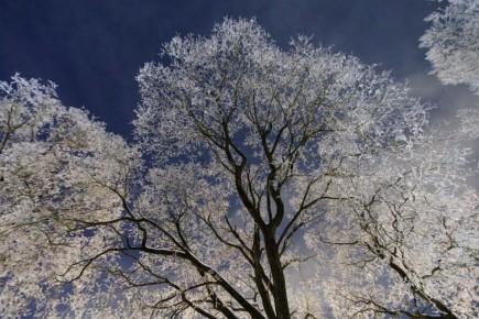 �� -5 �������� ������������ � ��������� ������� 26 �������