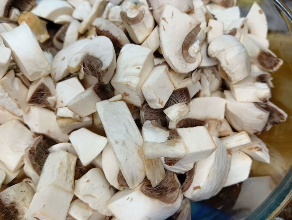 ���� ���������: �����, ������� ������ ����� ������ �����