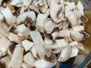 ���� ���������: �����, ������� ������ ����� ������ �����