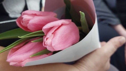 � ������� ����� ����� 8 ����� ��������� ��������� �������