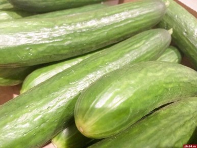 ���� �� ������ ������� � ����� 2025 ���� ����� ����