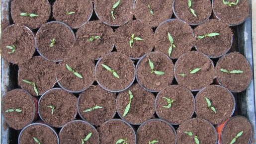 ����������� ������ ������ � ����������� �� �������