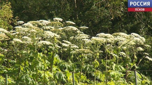 ����� �������� ��������� �������� � 1 �����, ���� �� �� ����� ������ �������� ��� ������ ������ ��������