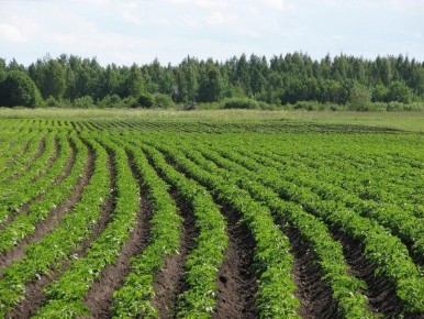 ����� ���� ��������� '������': ������ ��� ��������� ������������ �������