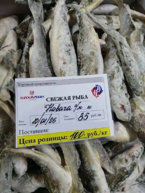 ������ �� ���������: ������ ���� � ���� ����� ������