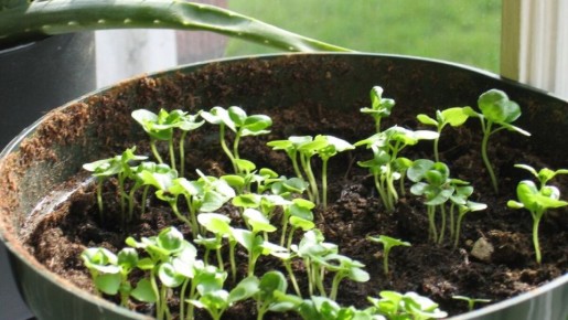 ����� � �������: ����� ����� ����� ����� � ����� ��� �������