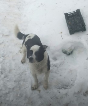 ������! ������ ������ ����������� ��������