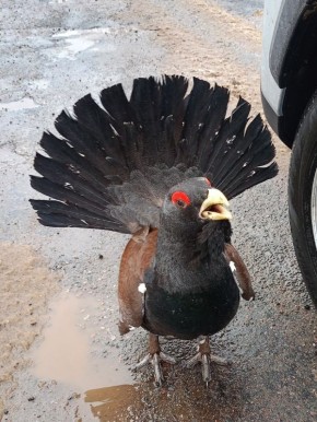 ������� ���������� ���������� �������� ���� �������� �������� ������� ����� �� �������� ����� � ����� �������� ������ �� ������� ����� ������ �����!