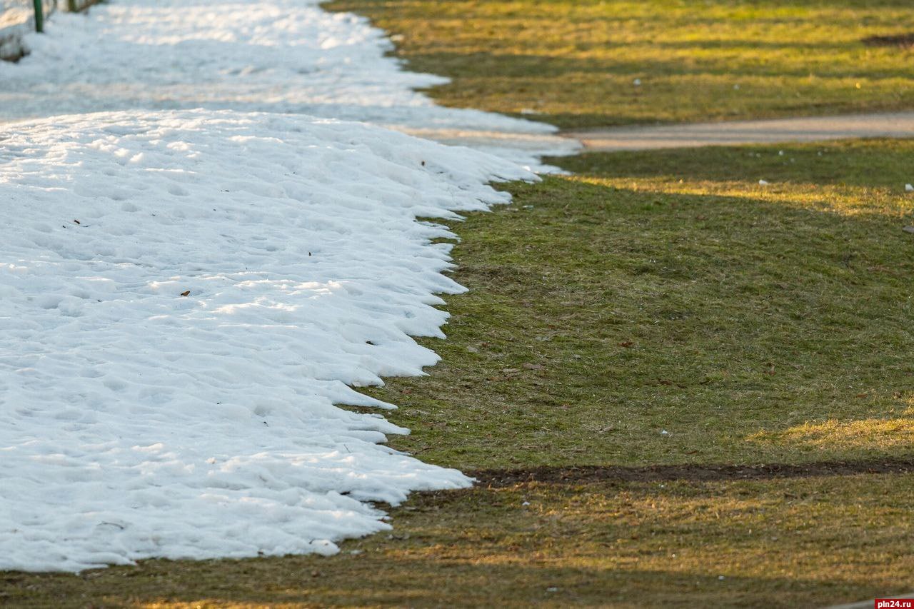 До +6 градусов ожидается в Псковской области 4 марта
