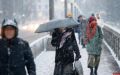 Мокрый снег и до +7°C: погода в Псковской области 5 марта