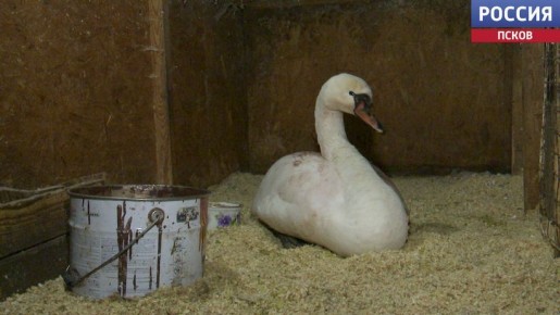 ������, �������� ������ ���������� � ��������� "������� �������", ���� �� ��������