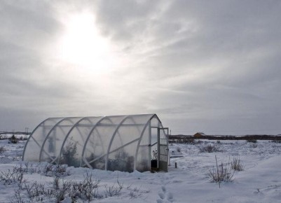 ������� �������� ������� � �������� �������