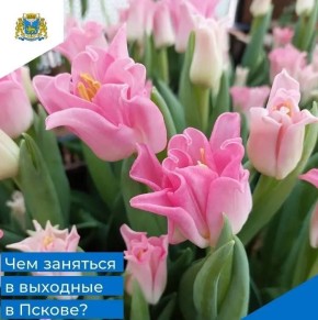 ����� �����: � ����� ���������� ������ � ���������� ��������� �� ����������� ��������