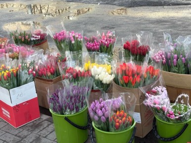 �������� ��������� �������� ���������� ��� ������ ������� ������������ 8 �����